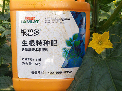 根碧多，菌劑，安碧解