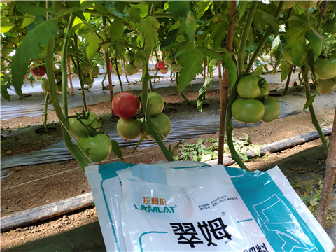 水溶肥，