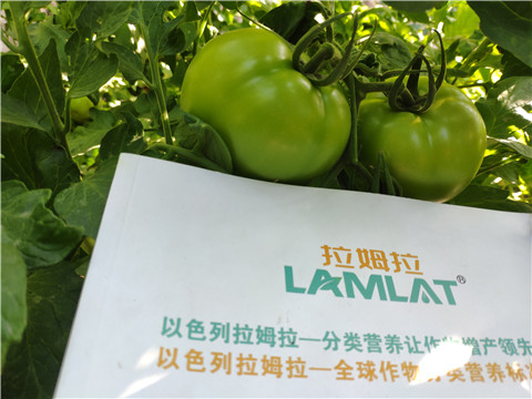 微生物菌劑，拉姆拉，伯示麥