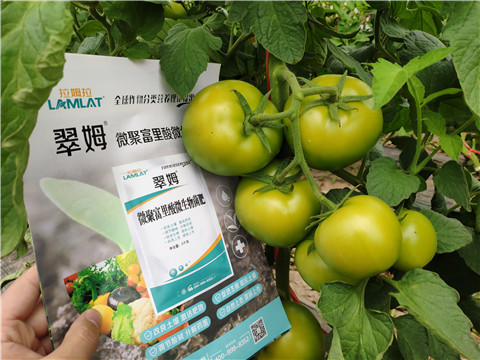 葉面肥，微生物菌劑，磷酸二氫鉀