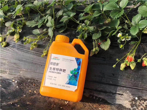 根碧多，微生物菌劑，拉姆拉