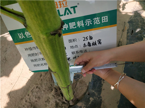 水溶肥，微生物菌劑，拉姆拉