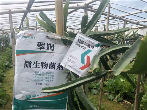 磷酸二氫鉀，翠姆，拉姆拉