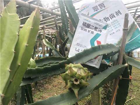 磷酸二氫鉀，翠姆，拉姆拉