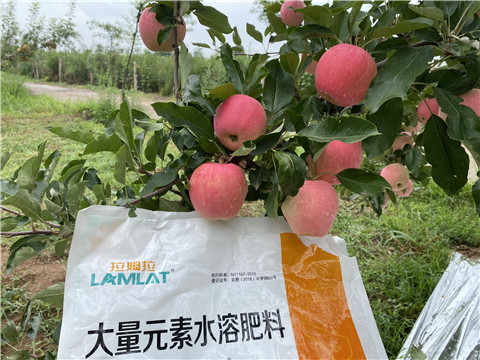水溶肥，翠姆，拉姆拉