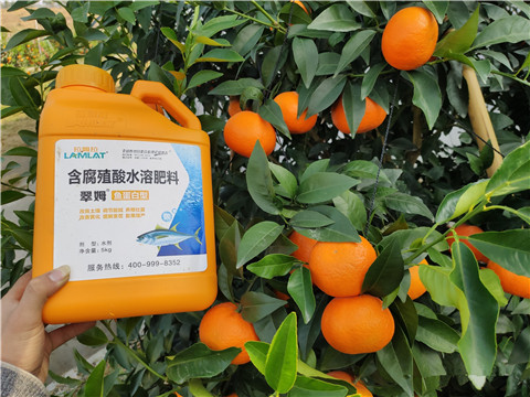 滴灌肥，拉姆拉，翠姆