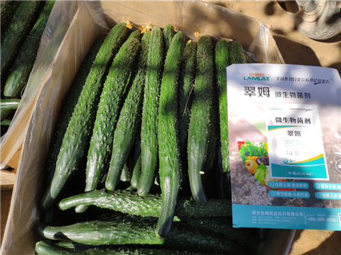 微生物菌劑，拉姆拉，翠姆