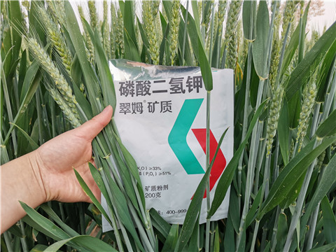 葉面肥，水溶肥，磷酸二氫鉀