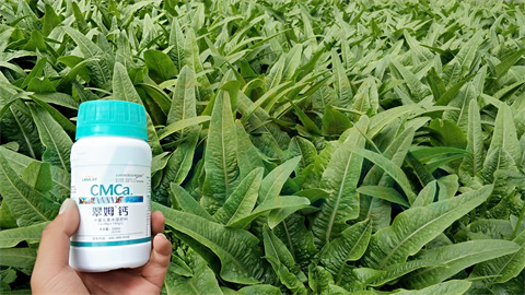 水溶肥，拉姆拉，翠姆