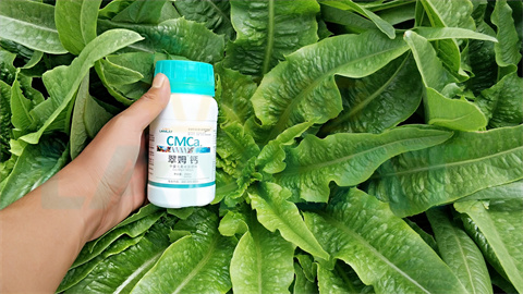 水溶肥，拉姆拉，翠姆